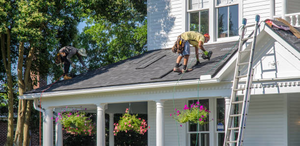 Best Roof Gutter Cleaning  in Mechanicsville, VA